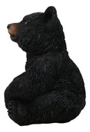 Rustic Western Forest Wonders Sitting Baby Black Bear Cub Whimsical Figurine