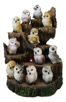 Forest Tree Steppes LED Display Stand With 12 Colorful Miniature Owls Figurines