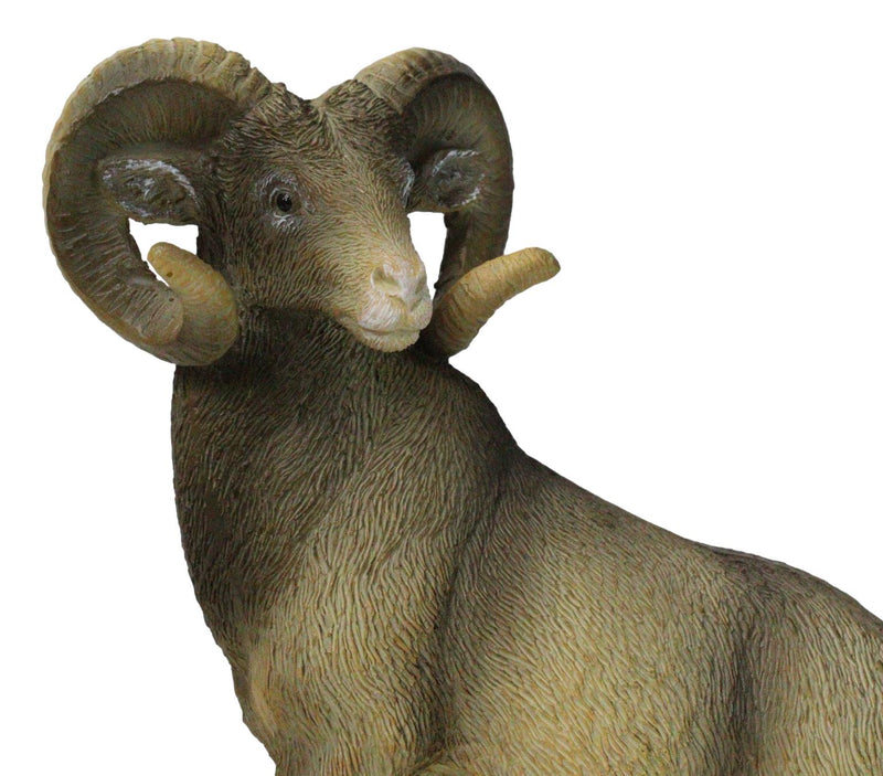 Wildlife Animal Taxidermy Bighorn Sheep Ram Standing On Rocky Steppes Figurine