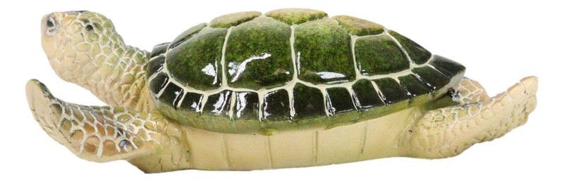 Ocean Marine Green Sea Turtle Decorative Key Stash Decorative Trinket Box