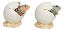 Pack Of 2 Marine Blue And Brown Sea Turtle Hatchlings In Egg Shells Figurines