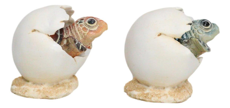 Pack Of 2 Marine Blue And Brown Sea Turtle Hatchlings In Egg Shells Figurines