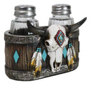 Southwestern Tribal Indian Bison Skull With Feathers Salt Pepper Shakers Holder