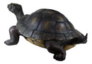 Realistic Lifelike Galapagos Giant Tortoise Turtle Reptile Statue 29"Long