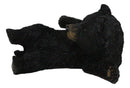 Whimsical Rustic Western Black Bear Cub Stretching Cell Phone Holder Figurine