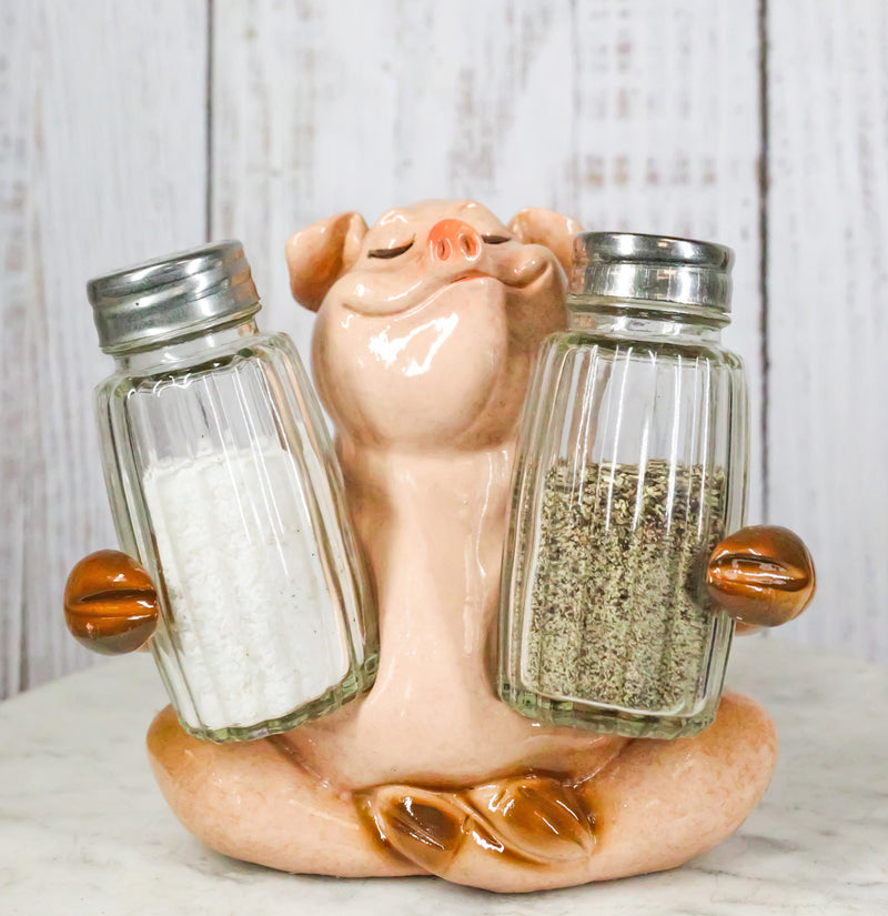 Rustic Country Animal Farm Porky Pig Hugging Salt Pepper Shakers Holder Set