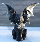 Wicca Three Headed Hydra Black Cat With Wings And Pentagram Necklace Figurine