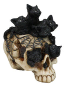 Witchcraft Black Kitten Cats Perching On Arachnid Spider Web Skull Figurine