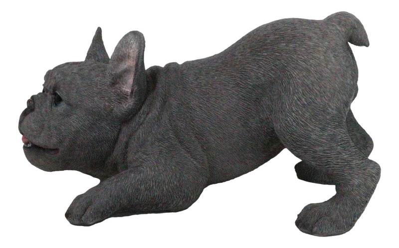 Realistic Adorable Grey French Bulldog Puppy Dog Crouching Frenchie Figurine