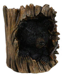 Rustic Western Forest Black Bear Hiding in Tree Trunk Decorative Figurine