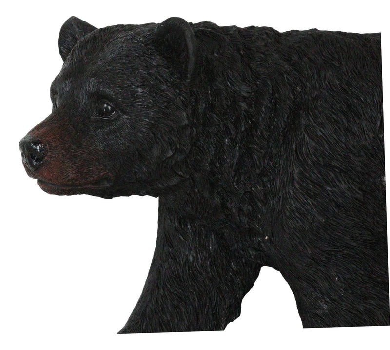 Large Rustic Western Wildlife Black Bear On Tree Branch Wall Sculpture 21"L