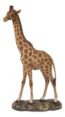 Nature Wildlife Realistic Safari Savannah Masai Giraffe Standing Figurine