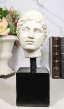 Classical Greek Roman Goddess Aphrodite Head Bust Replica On Black Base Statue