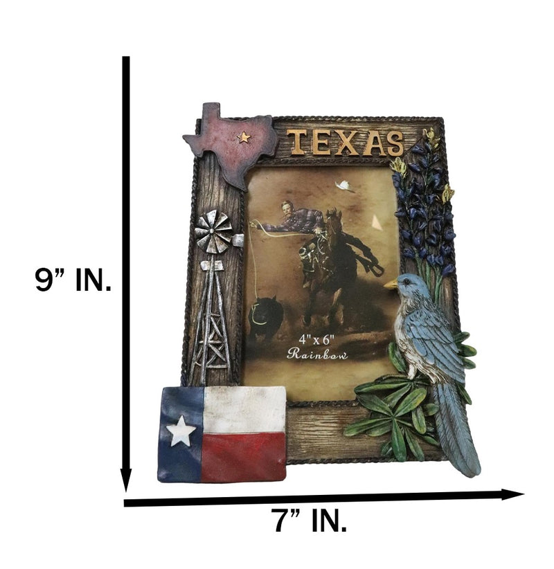 Rustic Western Patriotic Texas Mockingbird Windmill Bluebonnets Picture Frame