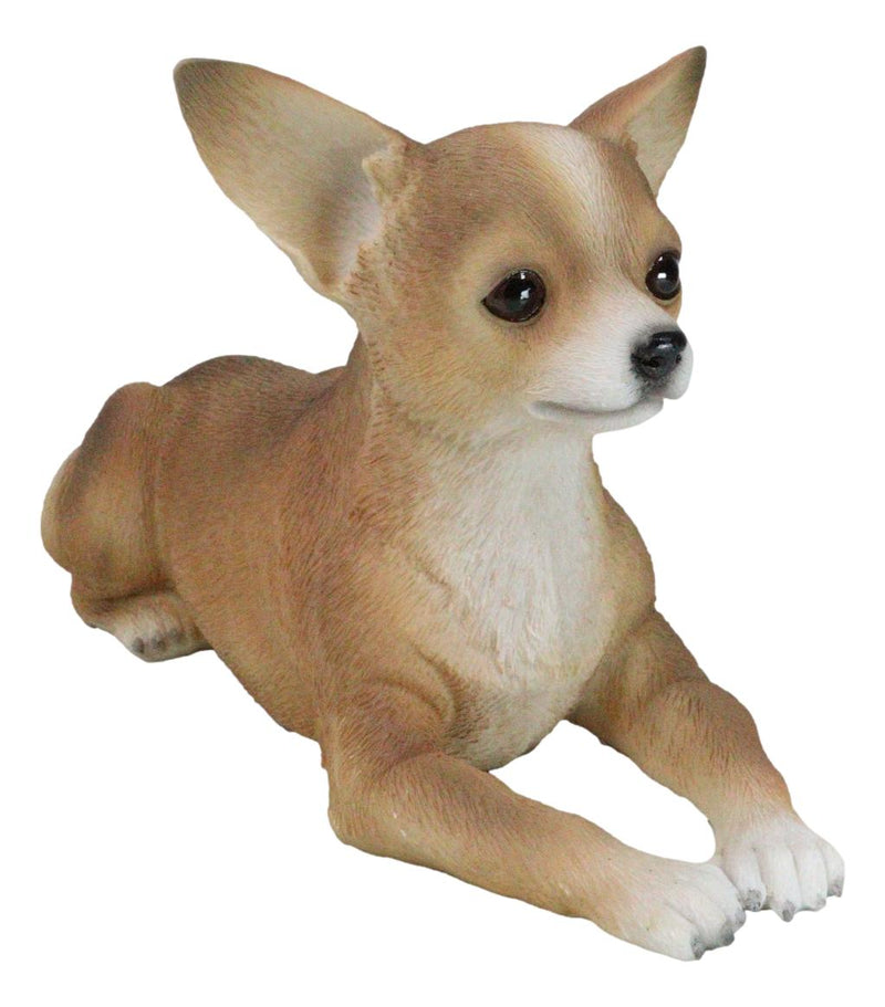 Realistic Shorthair Deer Head Chihuahua Dog Figurine With Glass Eyes 11"Long