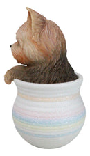 Yorkie Yorkshire Terrier Teacup Puppy Dog Figurine With Glass Eyes Pup In Pot