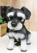 Adorable Black and Silver Miniature Schnauzer Puppy Dog Home Decor Figurine