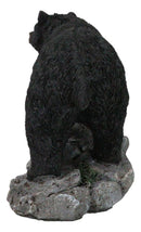 Rustic Wildlife Forest Black Bear Walking On River Rock Steppes Figurine