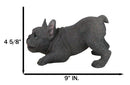 Realistic Adorable Grey French Bulldog Puppy Dog Crouching Frenchie Figurine