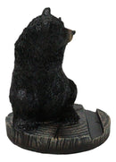 Rustic Western Hide And Seek Black Bear On Tree Ring Cell Phone Holder Figurine