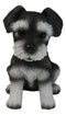 Adorable Black and Silver Miniature Schnauzer Puppy Dog Home Decor Figurine