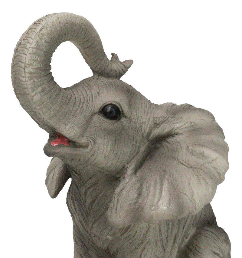 Safari Savanna Grasslands Wildlife African Bush Elephant Lifting Trunk Figurine