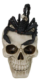 Halloween Macabre Gothic King Scorpion Demoniac On Skull Figurine