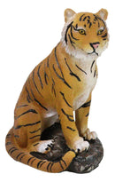 Rainforest Jungle Apex Predator Orange Bengal Tiger Sitting On Rock Figurine