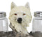 White Wolf Head By Woodlands Forest Glass Salt & Pepper Shakers Holder Figurine