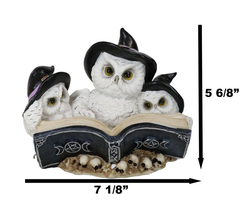 Arctic White Snow Owls With Witch Hats And Triple Moon Magic Spellbook Figurine