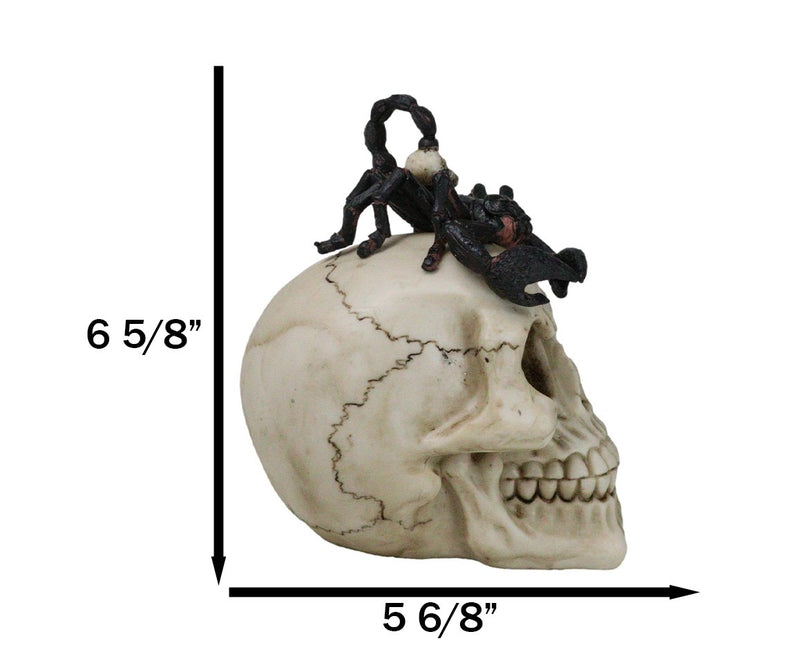 Halloween Macabre Gothic King Scorpion Demoniac On Skull Figurine