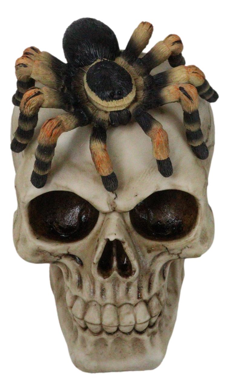 Halloween Macabre Creepy Crawler Tarantula Arachnid Spider On Skull Figurine