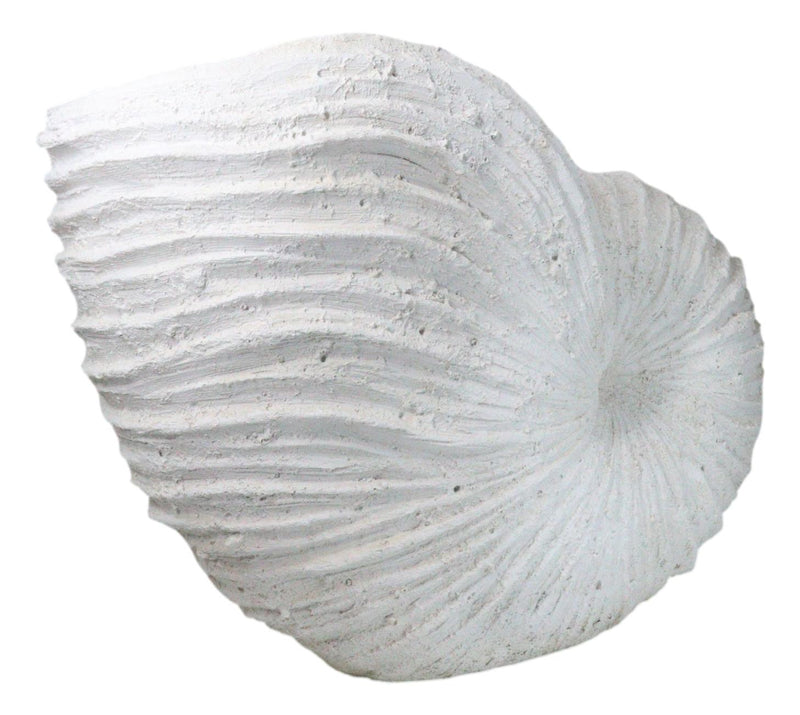 18.5"L White Nautical Marine Ocean Giant Nautilus Sea Shell Decorative Sculpture