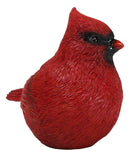 Faux Taxidermy Realistic Northern Male Red Cardinal Bird On Perch Figurine