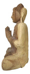 Acacia Wood Large Meditating Buddha Gautama Amitabha In Prayer Statue 21"H