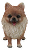 Lifelike Adorable Pet Pal Sitting Pomeranian Spitz Puppy Dog Figurine 6"H