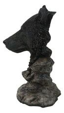 Western Rustic Wildlife Forest Black Bear Bust Figurine with Rocky Steppes Stand