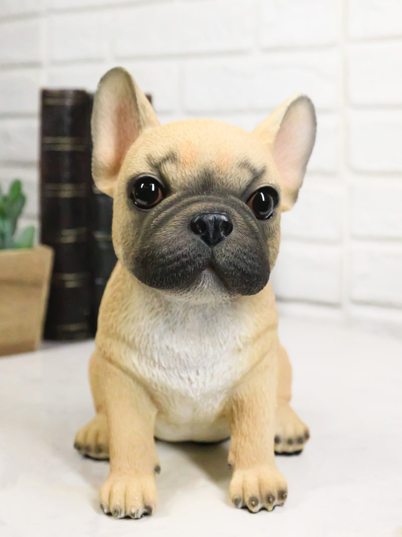 Realistic Adorable Fawn French Bulldog Puppy 6"H Cute Frenchie Dog Figurine