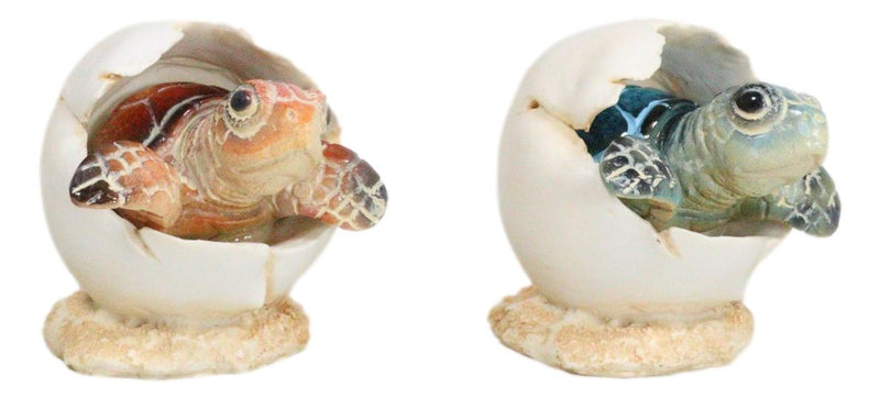 Pack Of 2 Marine Blue And Brown Sea Turtle Hatchlings In Egg Shells Figurines