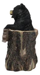 Whimsical Forest Black Bear On Tree Log Holding Welcome Plank Sign Figurine 7"H