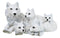 Winter Snow White Albino Wolf Mother at Repose with 4 Cubs Family Figurine