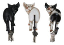 Set of 3 Rustic Western Farm White Black Spotted Pigs Hind Butt Coat Wall Hooks