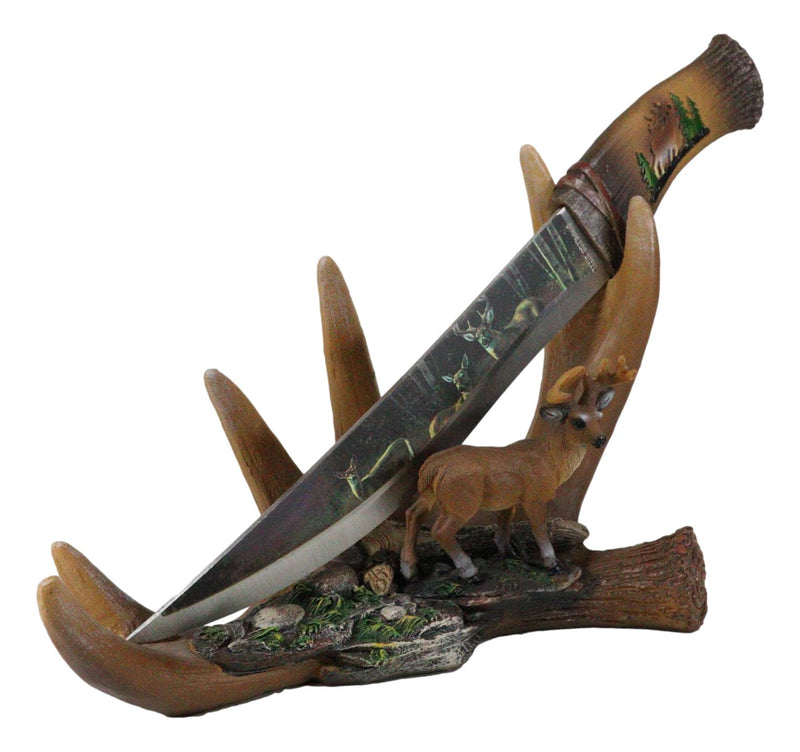 Ebros 6 Point Whitetail Buck Antlers Deer Stainless Steel Display Letter Opener