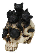 Witchcraft Black Kitten Cats Perching On Arachnid Spider Web Skull Figurine