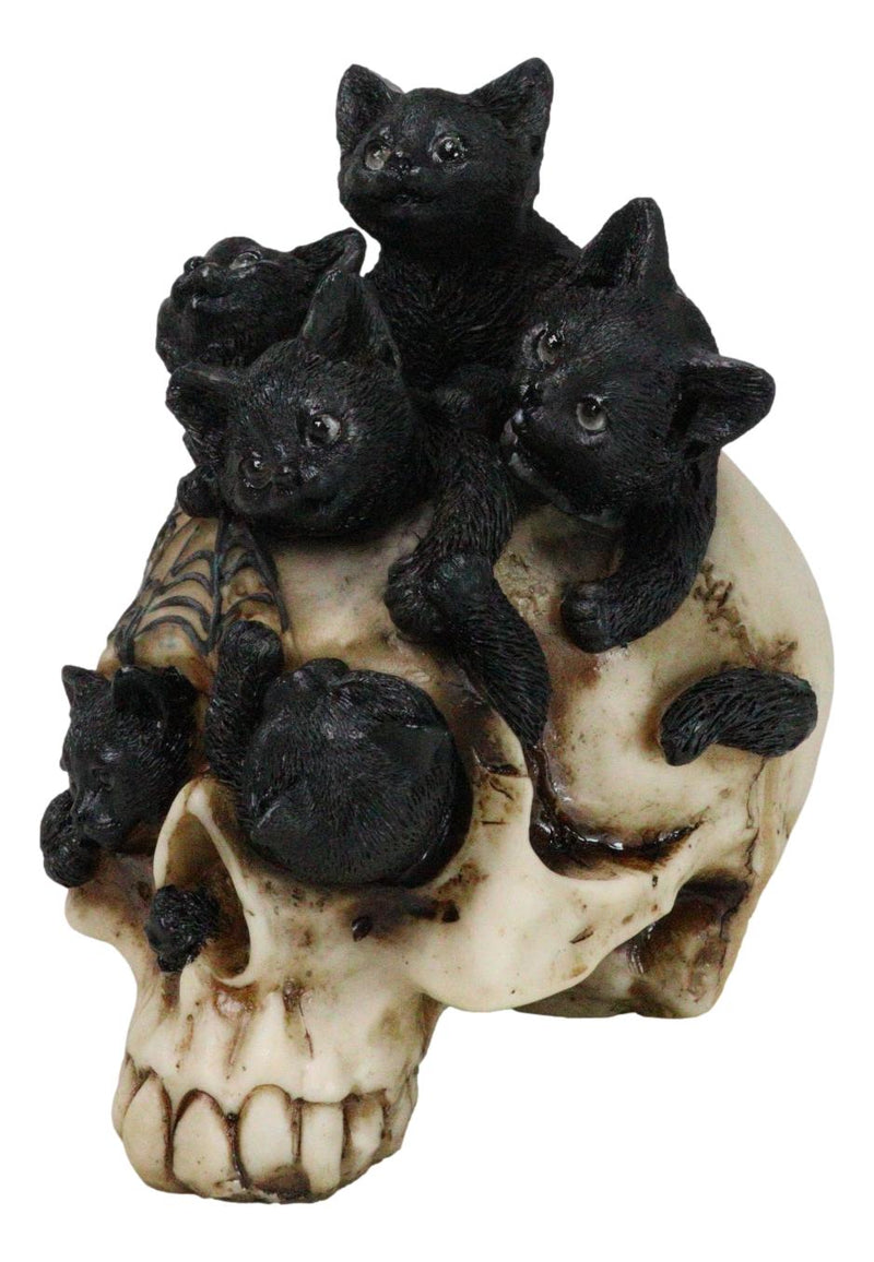 Witchcraft Black Kitten Cats Perching On Arachnid Spider Web Skull Figurine