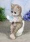 Shorthair Grey Cat Kitten Bookworm with Book Sitting On Toilet Potty Figurine