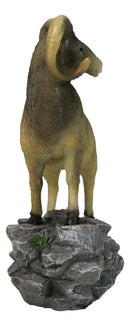 Wildlife Animal Taxidermy Bighorn Sheep Ram Standing On Rocky Steppes Figurine