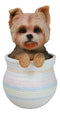 Yorkie Yorkshire Terrier Teacup Puppy Dog Figurine With Glass Eyes Pup In Pot