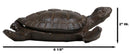 Rustic Cast Iron Sea Turtle Decorative Secret Key Concealer Trinket Box Figurine