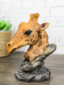 Safari African Savannah Masai Giraffe Head Bust On Rock Steppe Figurine